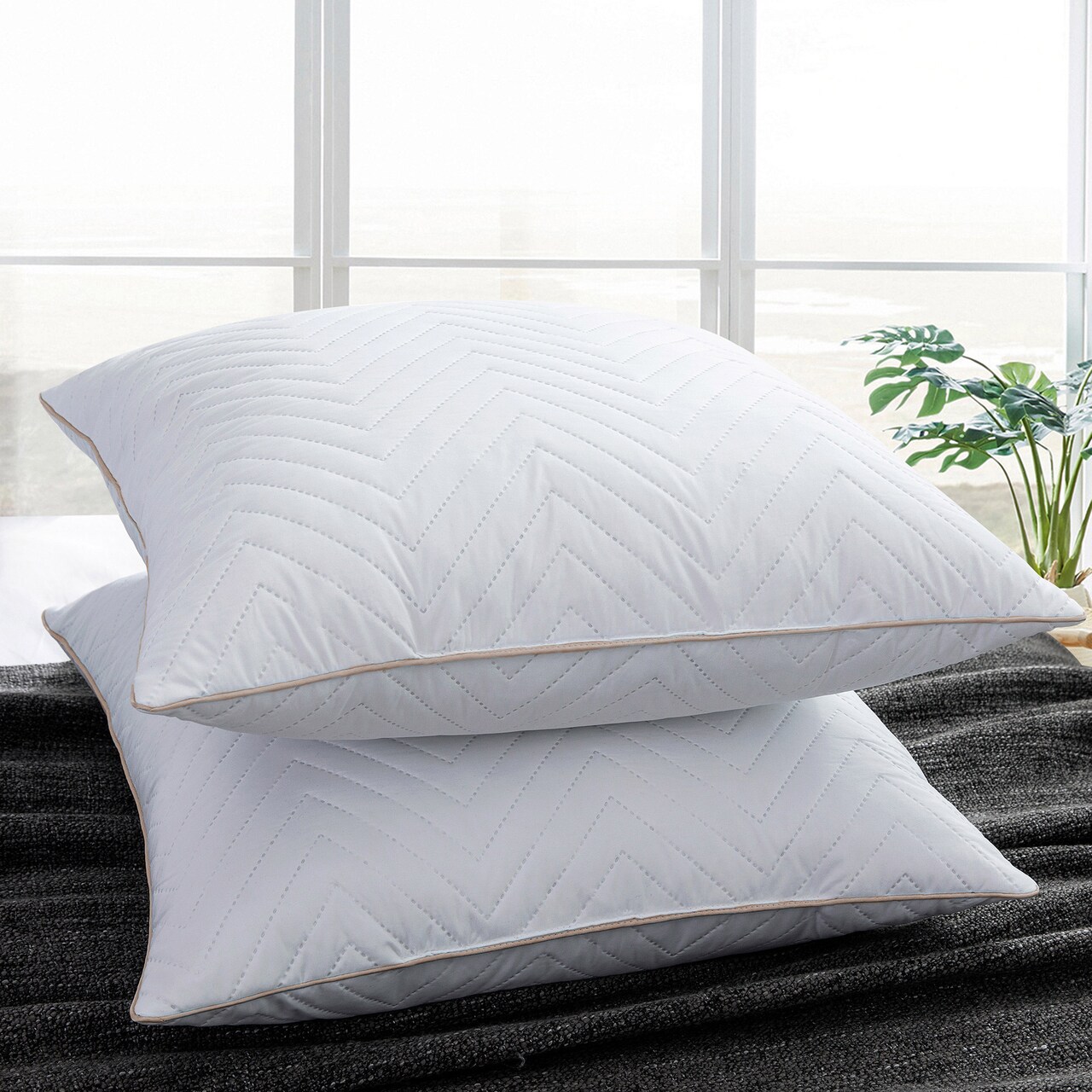 Peace Nest 2 Pack Feather Down Throw Pillow Insert, White, 18 X